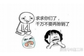  如何应对讨债电话：有效策略与心理准备