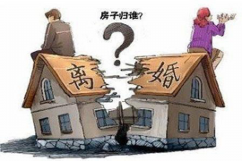 长清清数公司哪家好？揭秘优质数据分析服务提供商