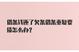 青岛是哪个网贷催收?揭秘网贷催收行业现状 青岛是哪个网贷催收?揭秘网贷催收行业现状