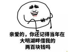 贺州讨账公司哪里找？专业机构助您高效追回欠款