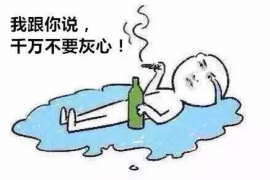/img/308.png/img/308.png要账不还被拘留的案例：法律视角下的债务追讨困境/img/308.png