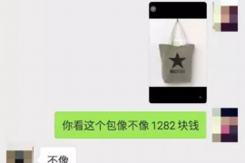 世界十大讨债员:揭秘高薪职业背后的讨债艺术 世界十大讨债员:揭秘高薪职业背后的讨债艺术