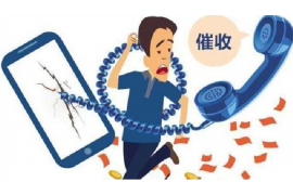 讨债人普通话免费观看：揭秘债务回收行业的线上秘籍
